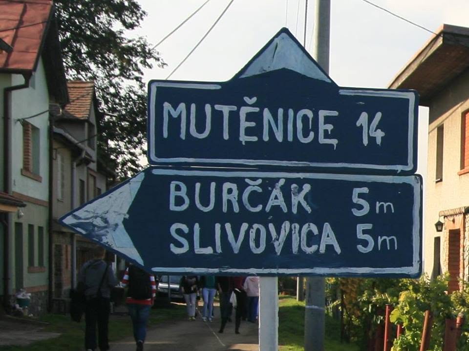 Burčákový pochod Putování osadou vinných sklepů Šidleny u Milotic 50. pokračování již velmi tradiční a hojně navštěvovaná akce, dříve pořádaná Klubem českých turistů vždy druhou sobotu v říjnu. Občerstvení po celé trase až do Mutěnic je zajištěno místními vinaři. 10. října 2026 od 8 hodin